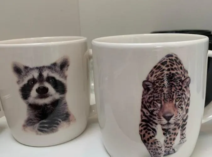 Quiet Corner Apartment *